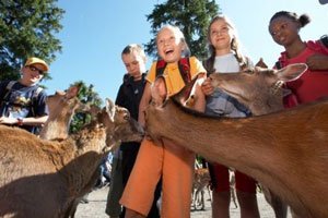 Im Natur- und Tierpark Goldau die Schweizer Tierwelt entdecken