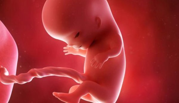 Ssw 11 Diagnostik In Der Schwangerschaft