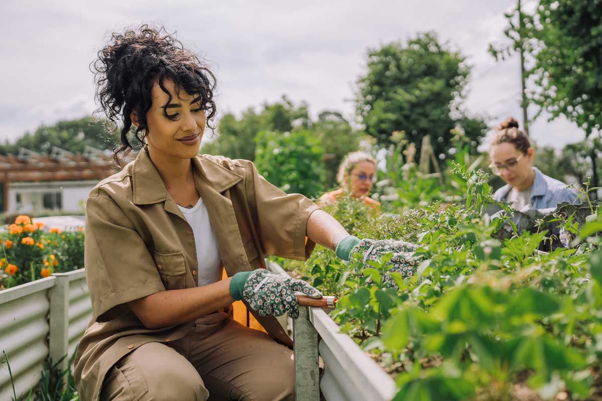 Eine Frau hilft in einem Gemeinschaftsgarten Unkraut jäten